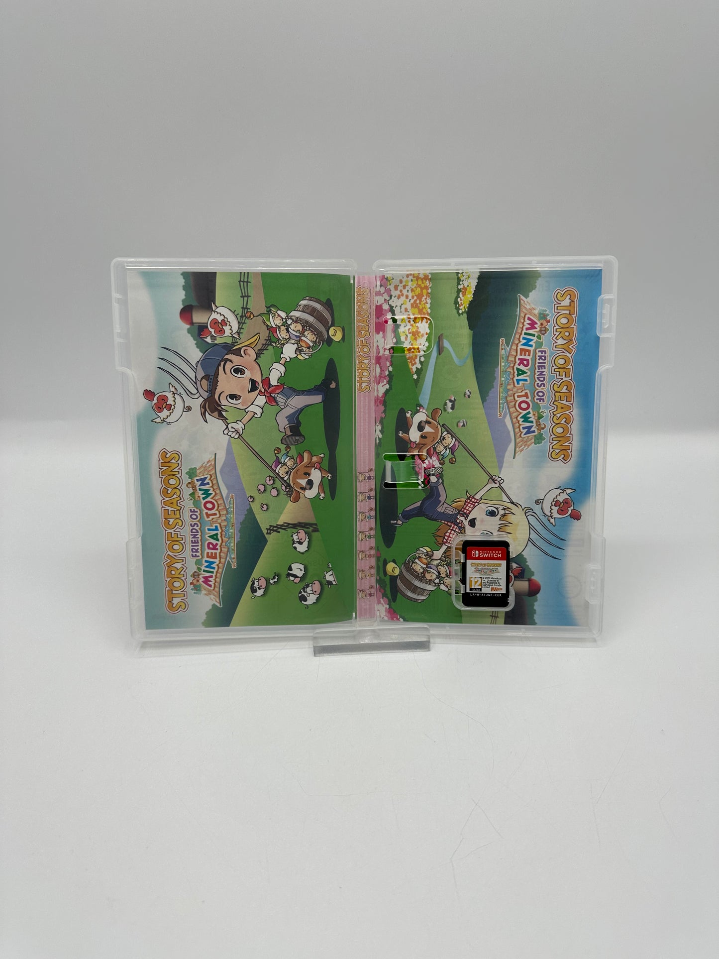 Story of Seasons Friends of Mineral Town