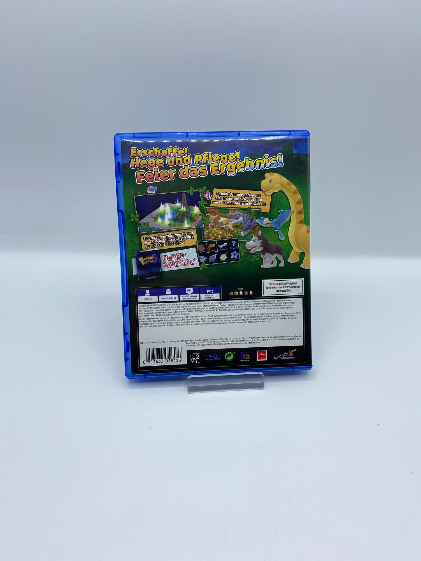 Birthdays the Beginning