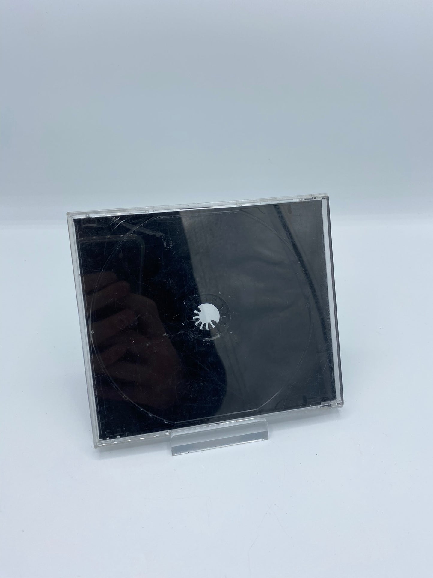 Mickeys wild adventure