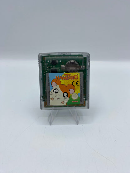Hamtaro