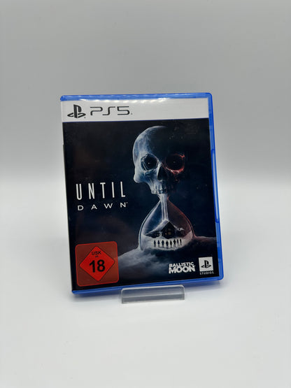 Until Dawn