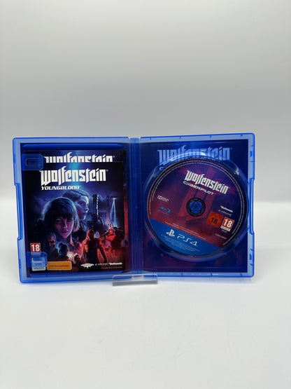 Wolfenstein Cyberpilot