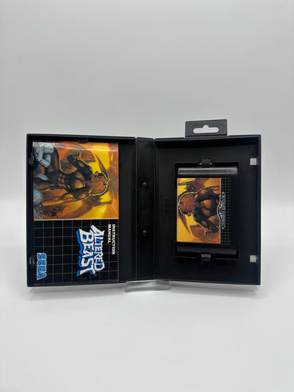 Altered Beast Mega Drive