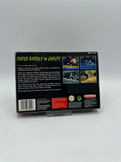 Super Ghouls`n Ghosts OVP