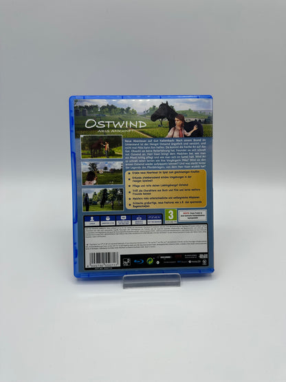 Ostwind Aris Ankunft