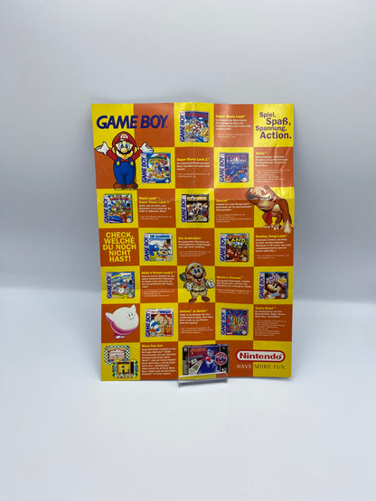 Nintendo Flyer