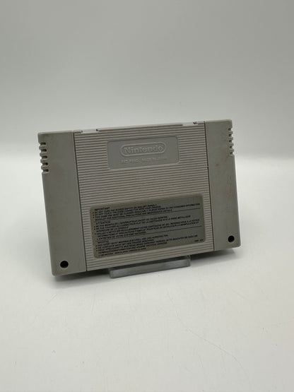 Schwarzenegger True Lies