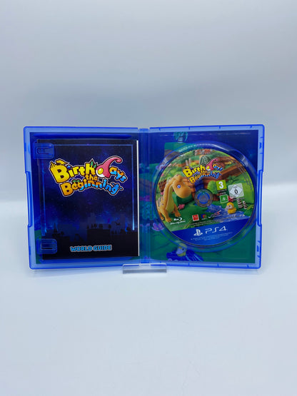 Birthdays the Beginning