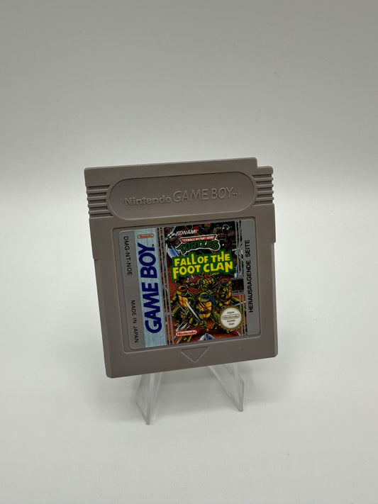 Teenage Mutant Ninja Turtles Fall of the Foot Clan